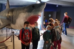 Rekin w Oceanarium i nasi uczniowie.