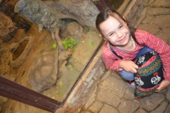Jaki wielki żółw - Lenka podziwiała go przez szybę.